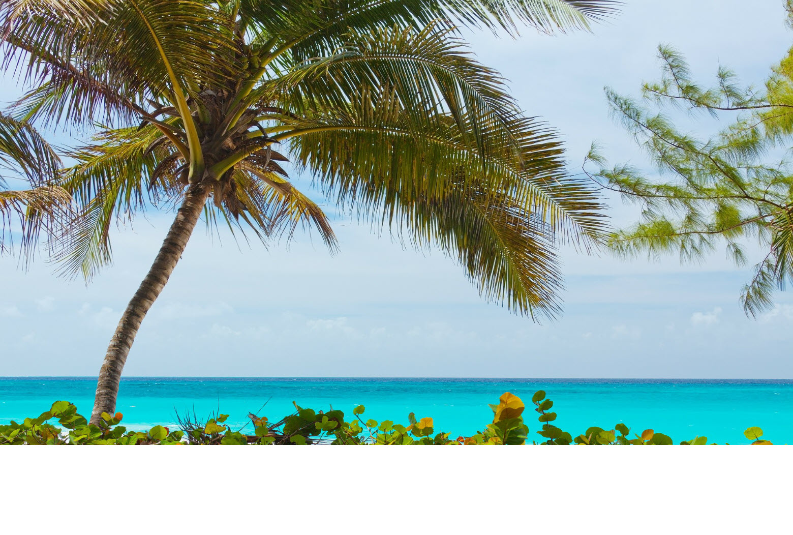 Laura Kay - TTAgent - Travel Services